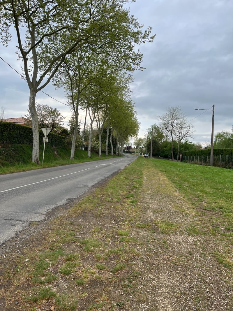 Chemins forestiers de Rieumes - Rieumes