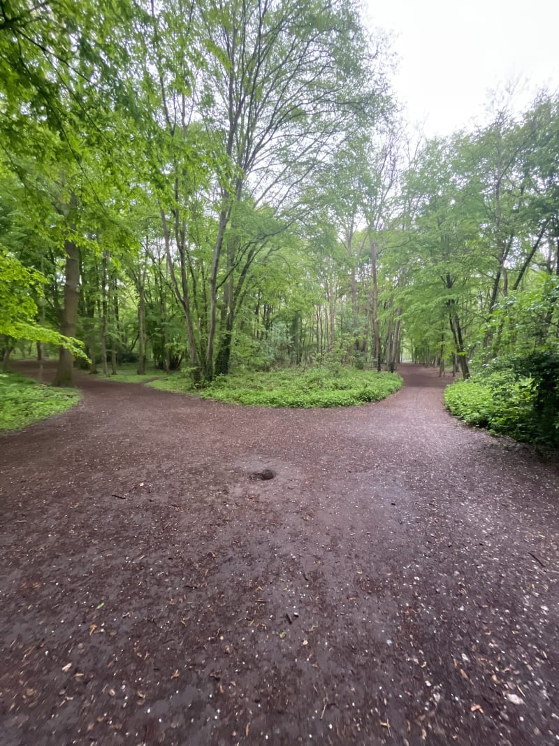 Bois de Boissy - Franconville