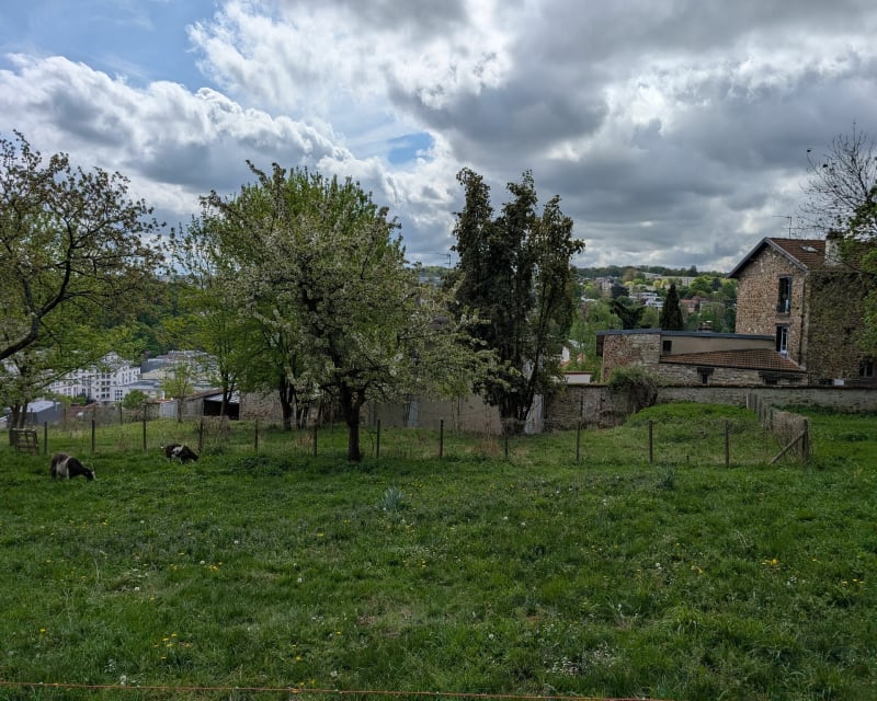 Parc de Saint cloud, des montées et une belle descente - Saint-Cloud