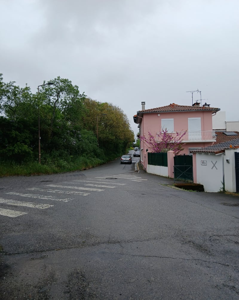 Par monts et par vaux à Toulouse - Toulouse