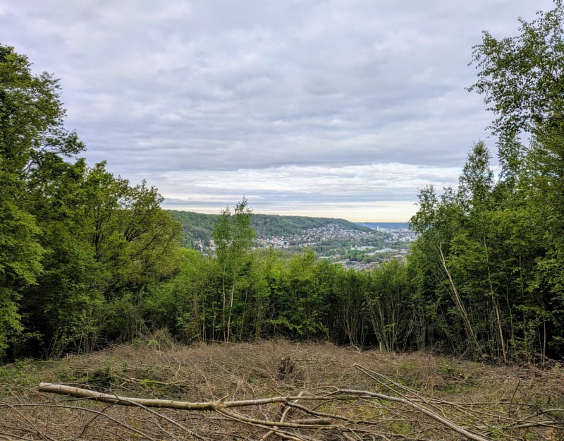 Bois du Roule - Darnétal