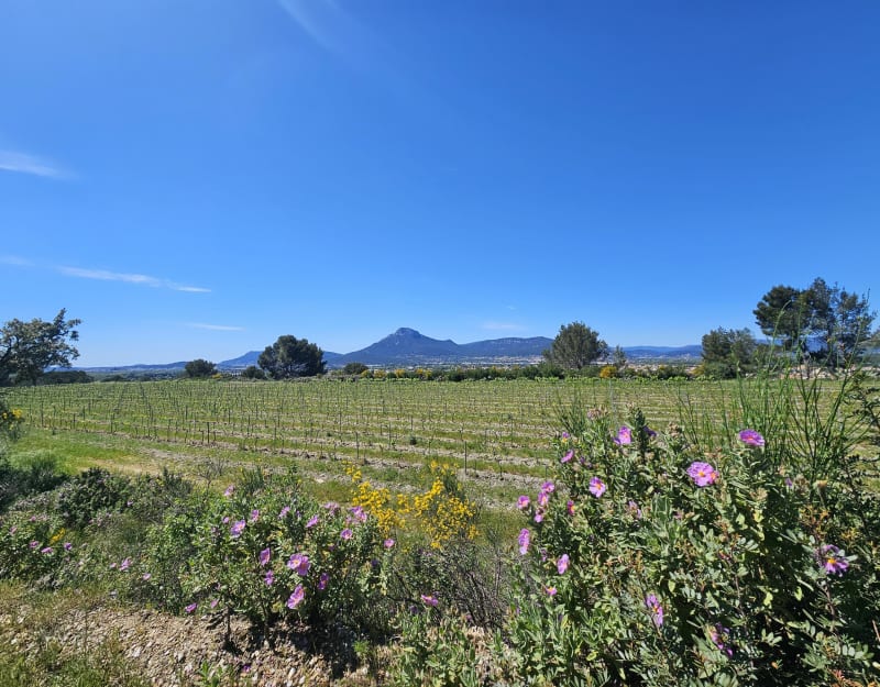Petite balade Fenouillet - La Crau