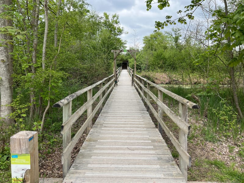 Boucle entre parc et marais de Fontenay le Vicomte - Mennecy