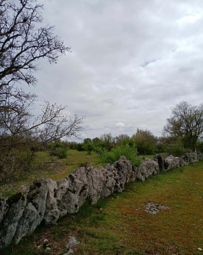 Sur les pas de l'Ermite, par Igue de Planagrèze à Caniac - Caniac-du-Causse