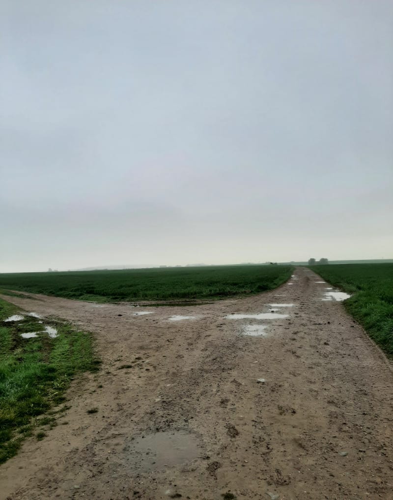 Camblain-Châtelain campagne et bois - Camblain-Châtelain