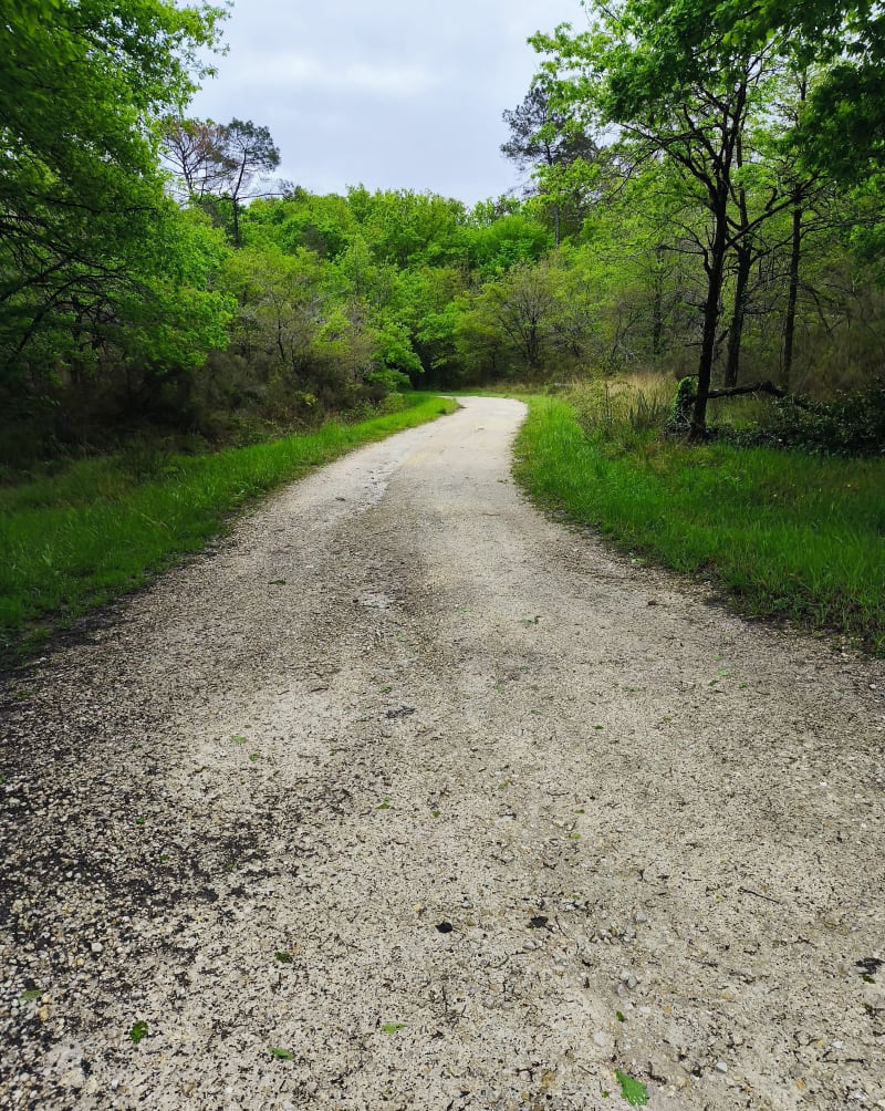 La Boucle du Claud de Bled allongée (4.6 km) - Lunas