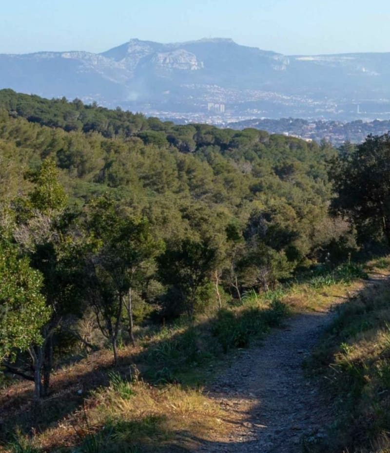 Marche foret Janas - La Seyne-sur-Mer