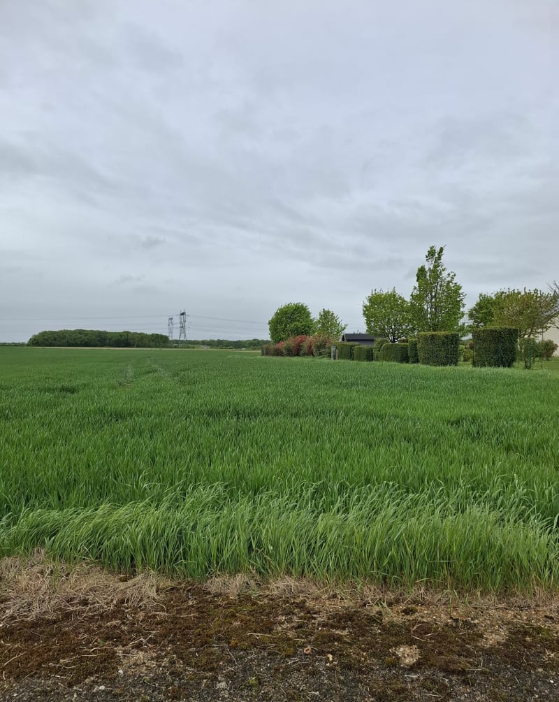 Boucle autour de Rouziers-Cérelles - Rouziers-de-Touraine