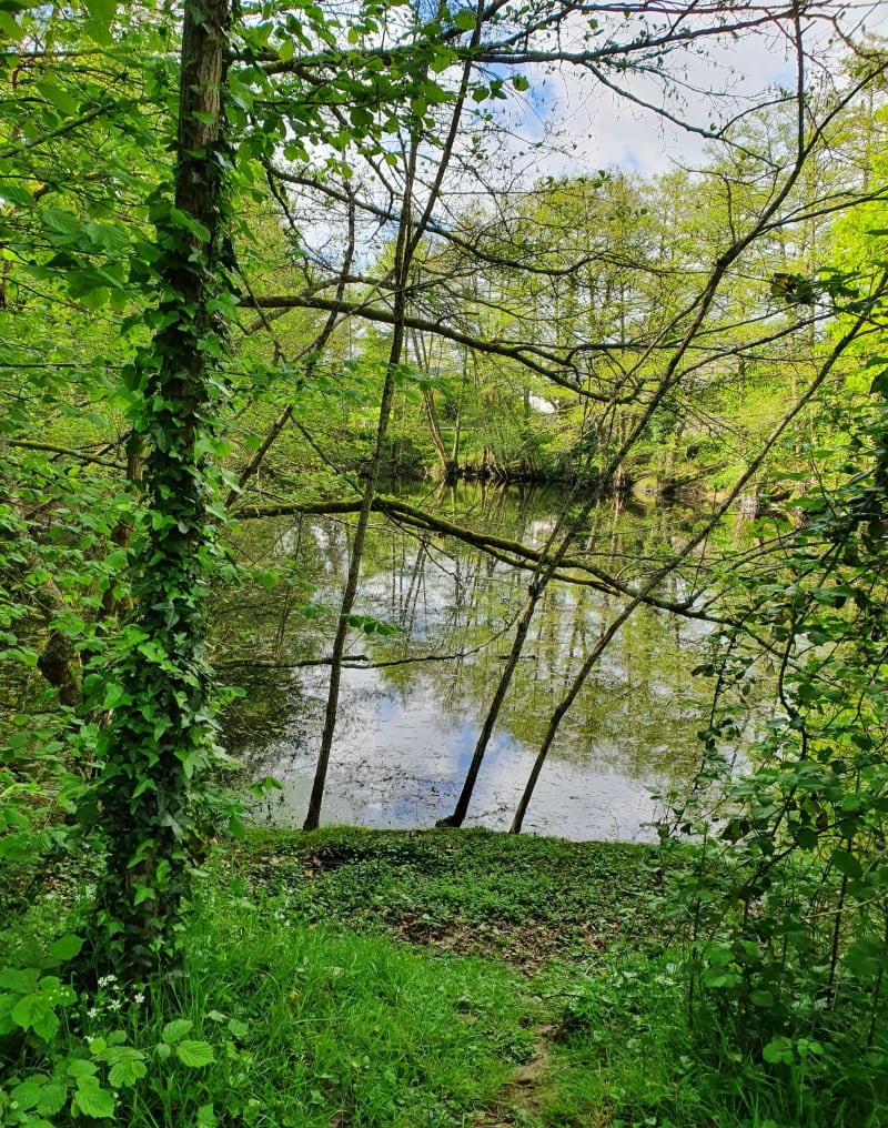 Petite Randonnée autour de Grandchamp-des-Fontaines et la Lande - Grandchamp-des-Fontaines