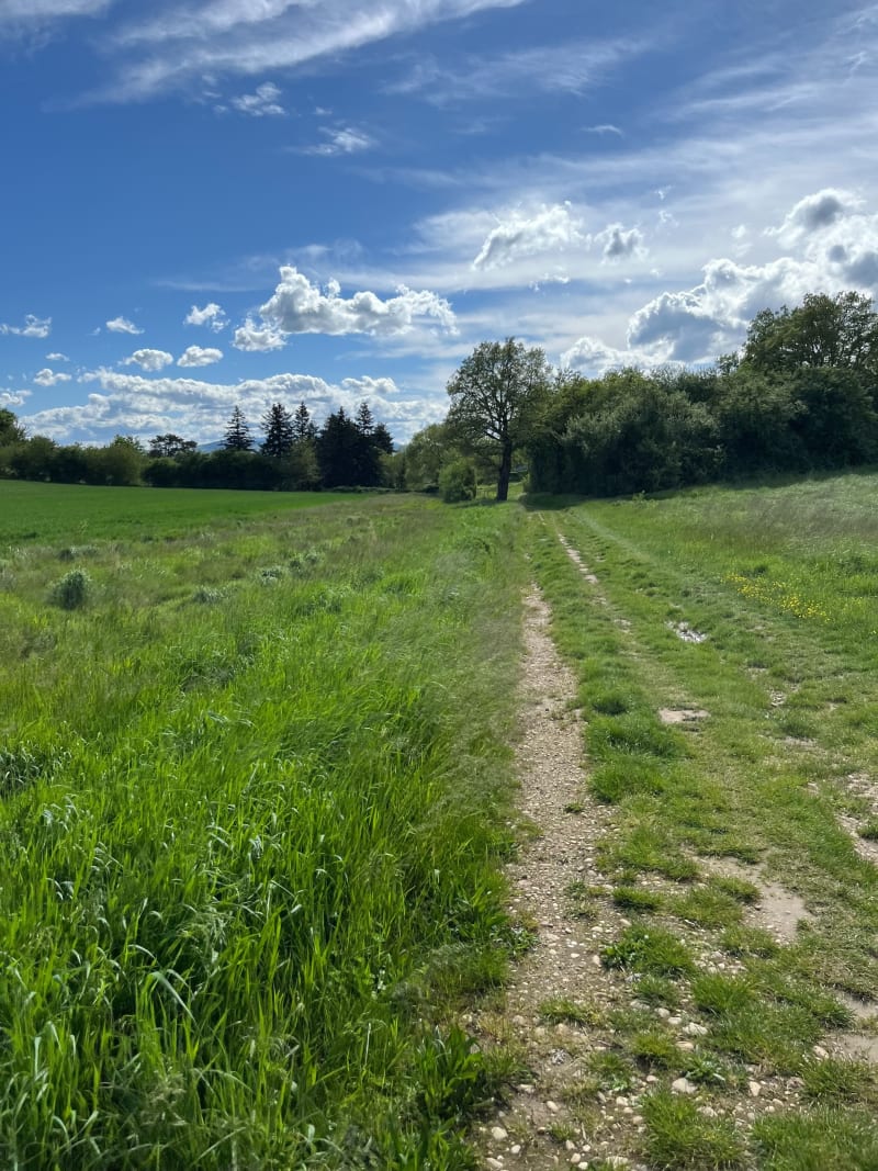 Boucle Ternay-Communay - Communay