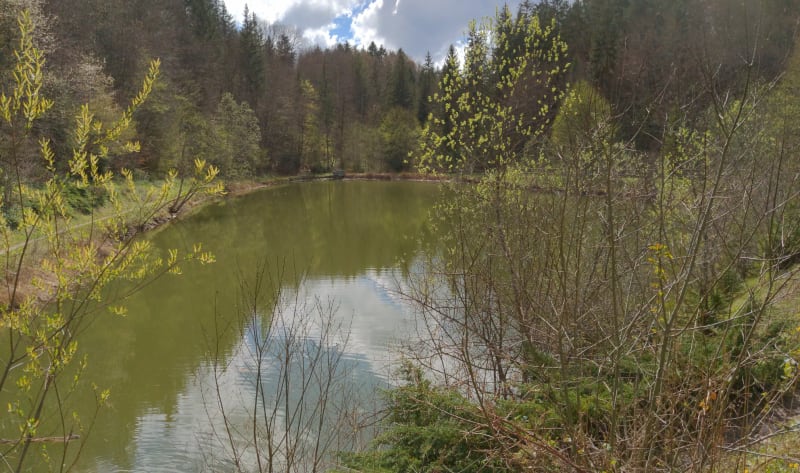 Boucle Macherets et Reculfou retour par le lac de la Crossetaz - Habère-Lullin