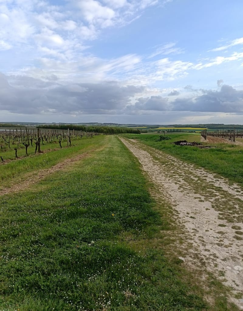 Balade en Rouillacais - Rouillac
