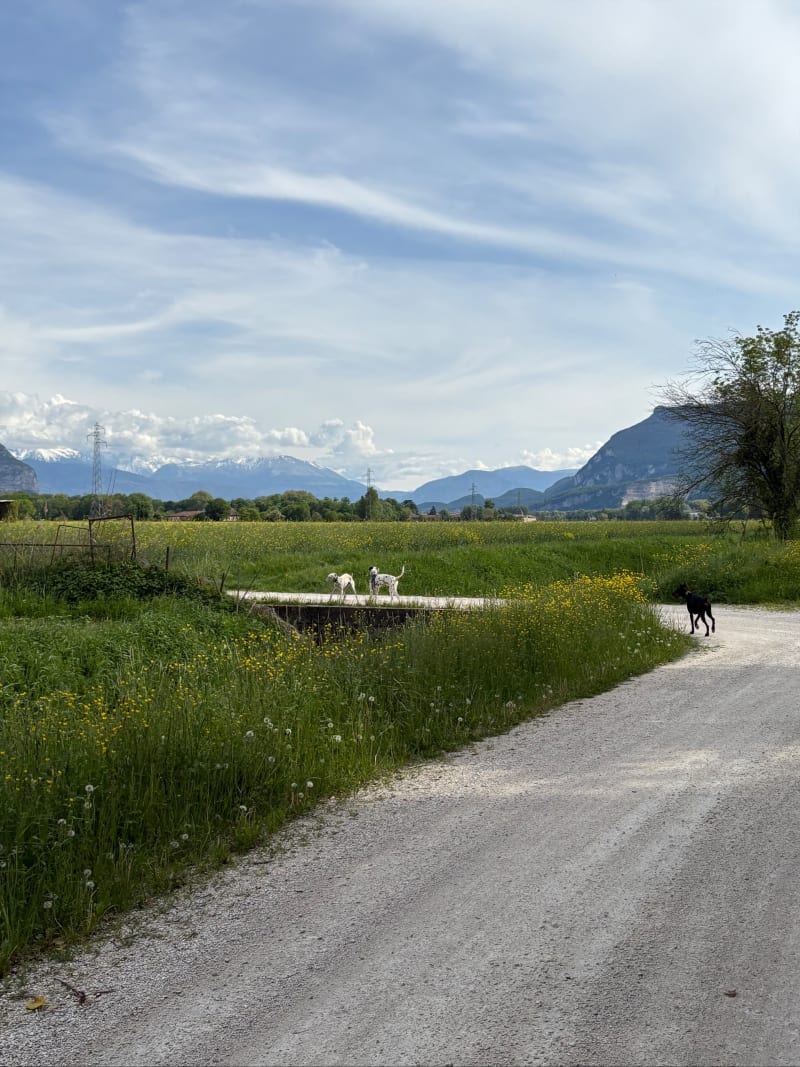 Balade a Voreppe et les Seites - Voreppe
