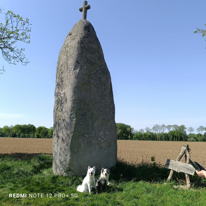 Le menhir de la butte, Cuguen - Cuguen