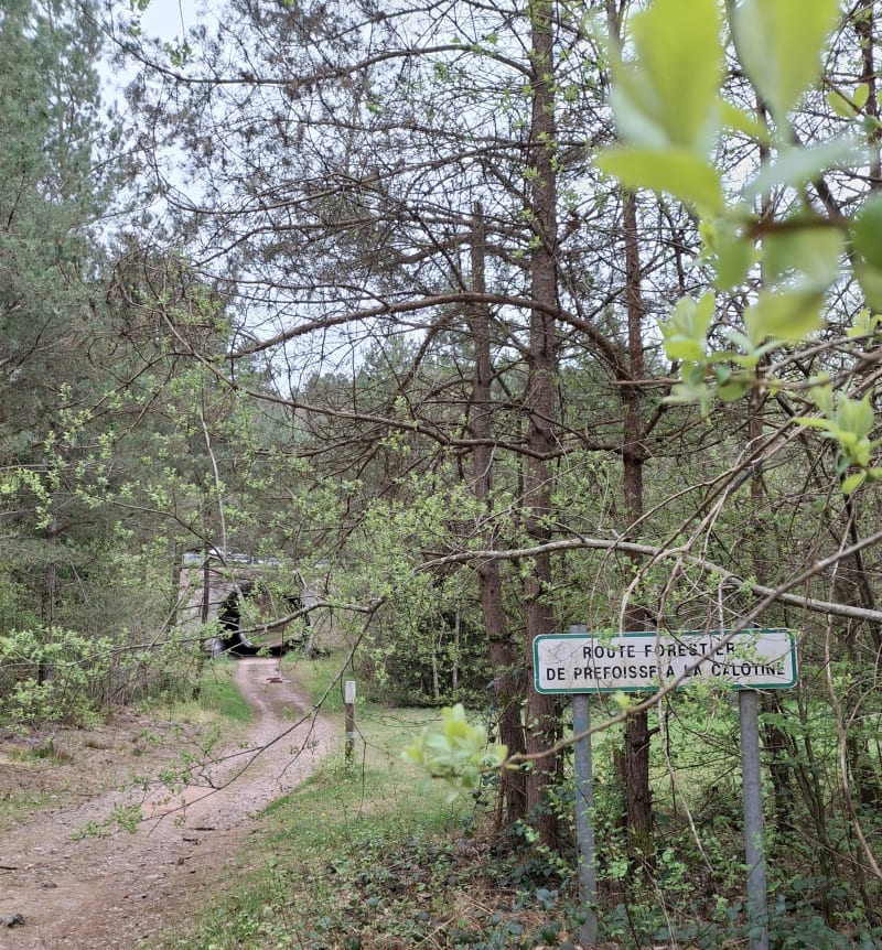 Trail in the "vierge" - Épinal