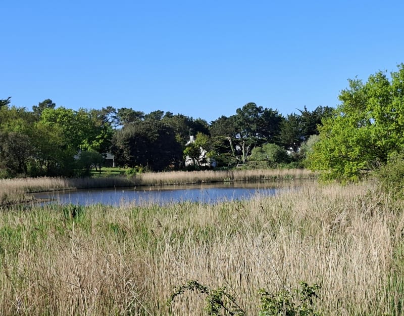Entre vieux Lerat et Saint Sébastien - Piriac-sur-Mer