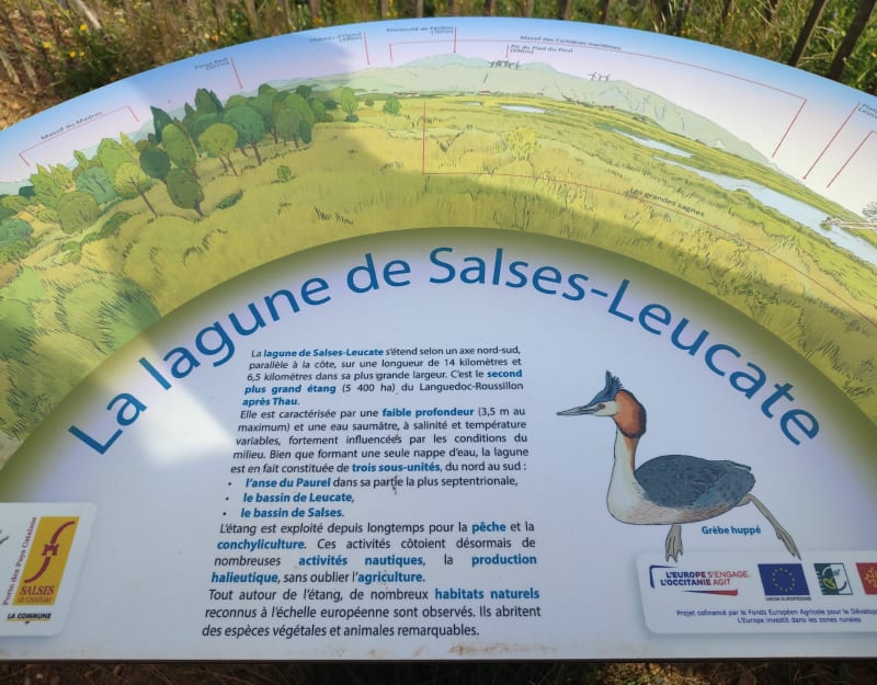 Étang de Salses - Salses-le-Château