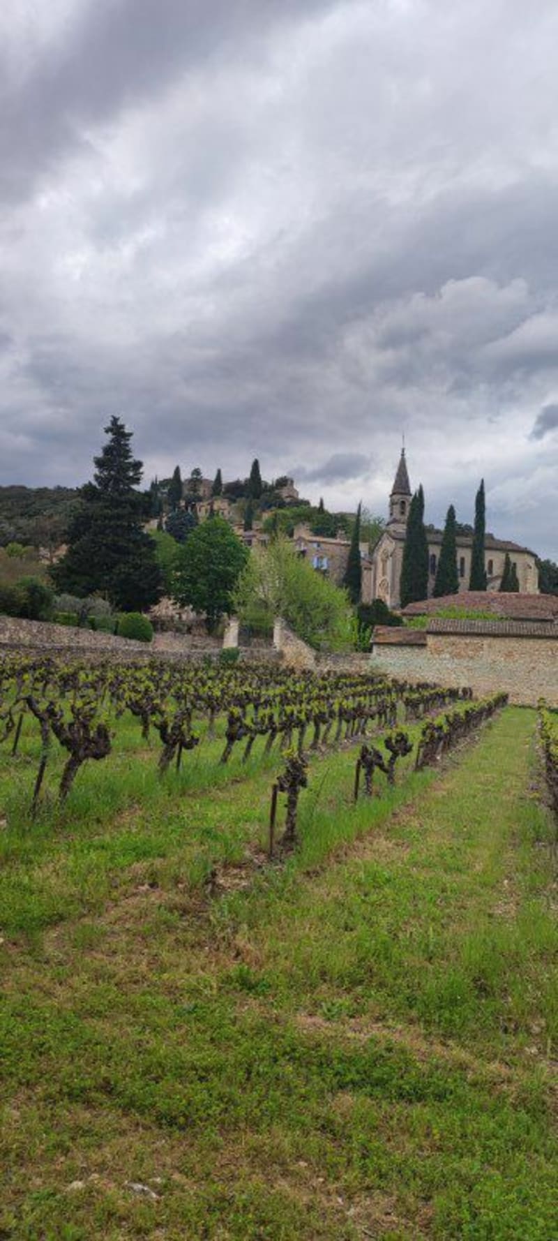 Boucle La Roque-sur-Cèze à Goudargues - La Roque-sur-Cèze