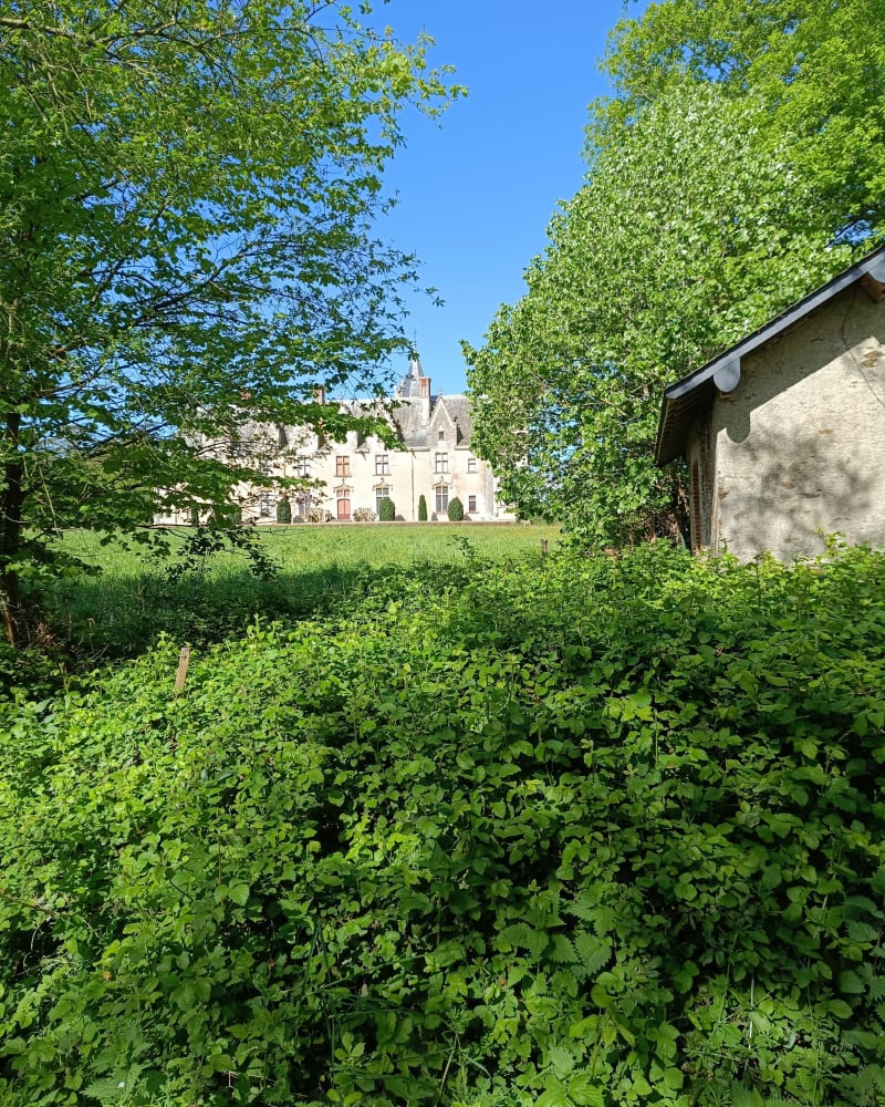Balade à la Chapelle sur Erdre - La Chapelle-sur-Erdre
