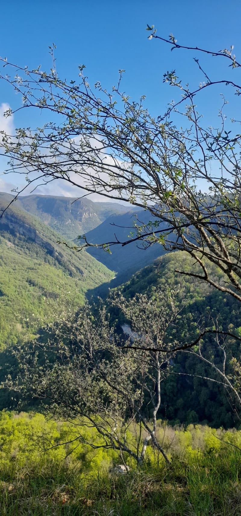Hostiaz, panorama magnifique le long du chemin de crête - Plateau d'Hauteville