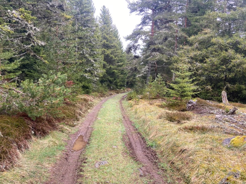 Parcours autour de la Pinatelle depuis Chalinargues - Neussargues en Pinatelle