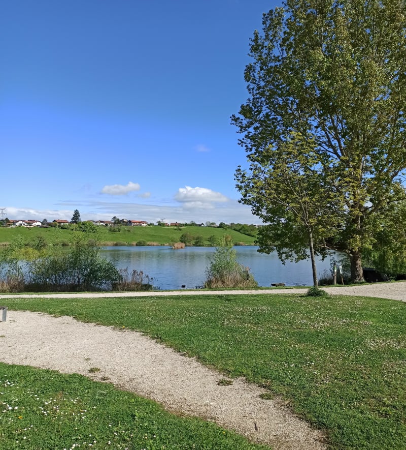 Lac de Machilly de Cranves - Cranves-Sales