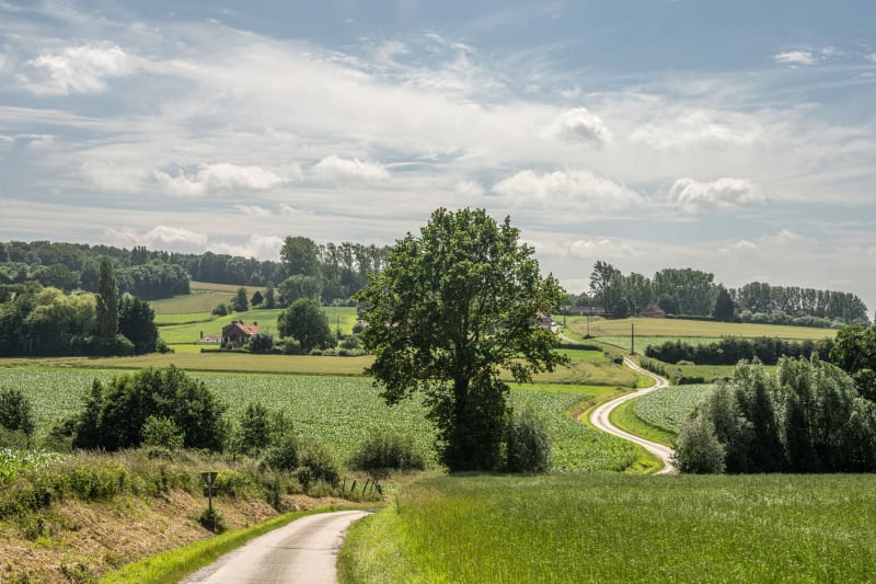 Trail autour de St-Jans-Cappel - Saint-Jans-Cappel