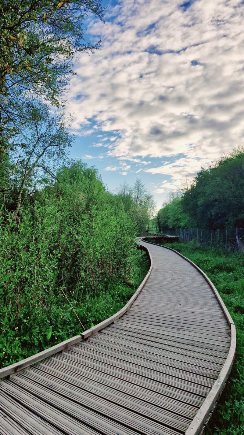 Sente des rivières et Épouville - Montivilliers