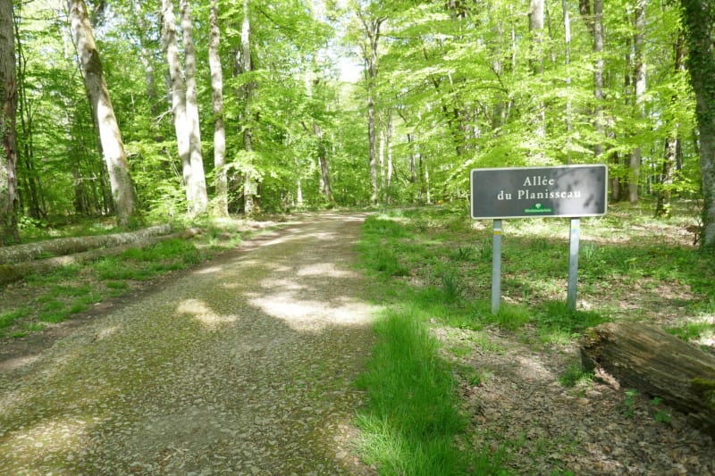 Liaison douce entre Vouillé et la forêt, départ des Maillots - Vouillé
