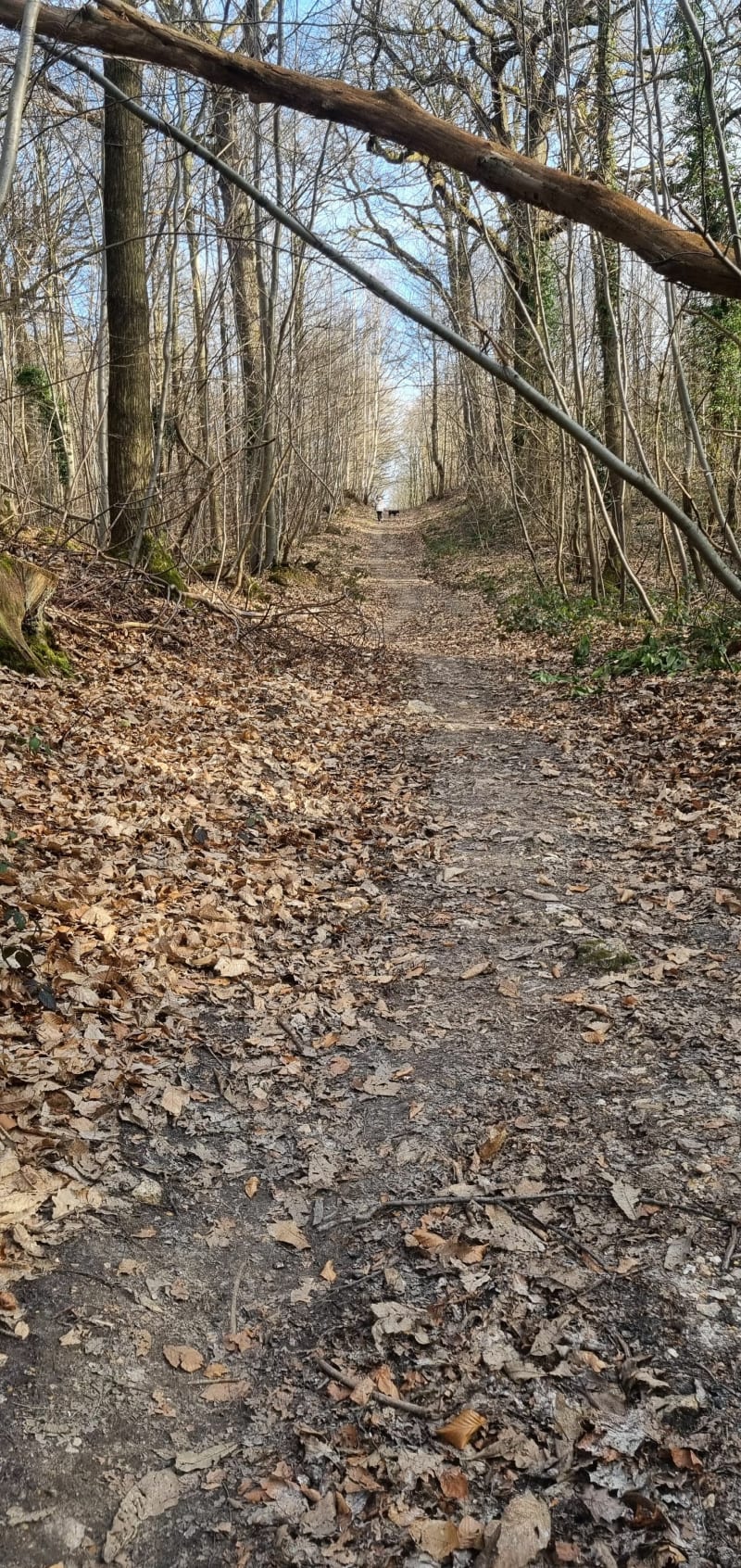 Grande boucle à Meudon - Fontenay-aux-Roses