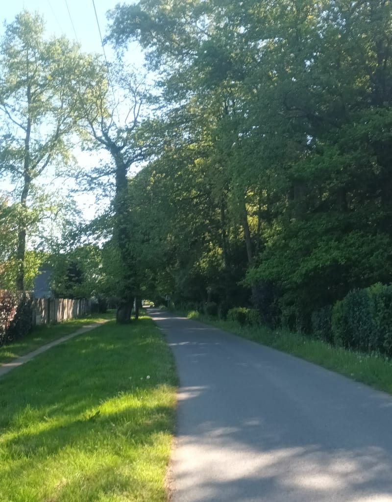 Petit tour à St Gilles - Saint-Gilles