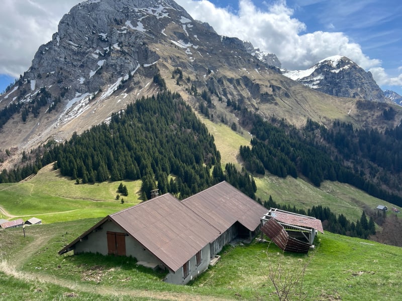 Pointe de Talamarche en boucle depuis Montremont - Thônes