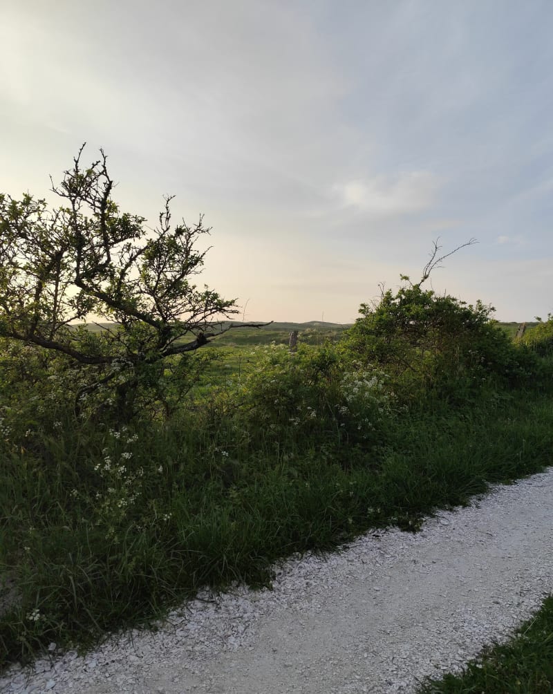 Entre Terre et Mer, le Plein de Mars - Gouville-sur-Mer