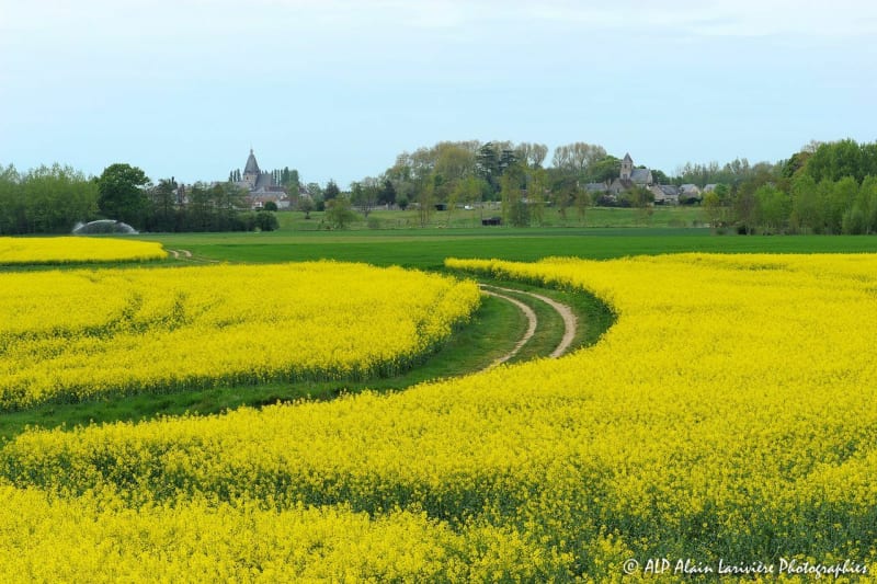 Sortie dans les champs autour de Valenciennes - Valenciennes