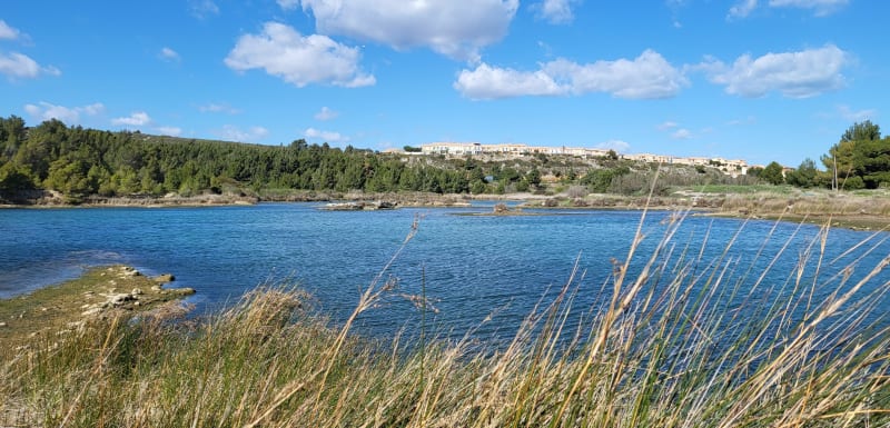 Etang des Exals et Narbonne port - Fleury