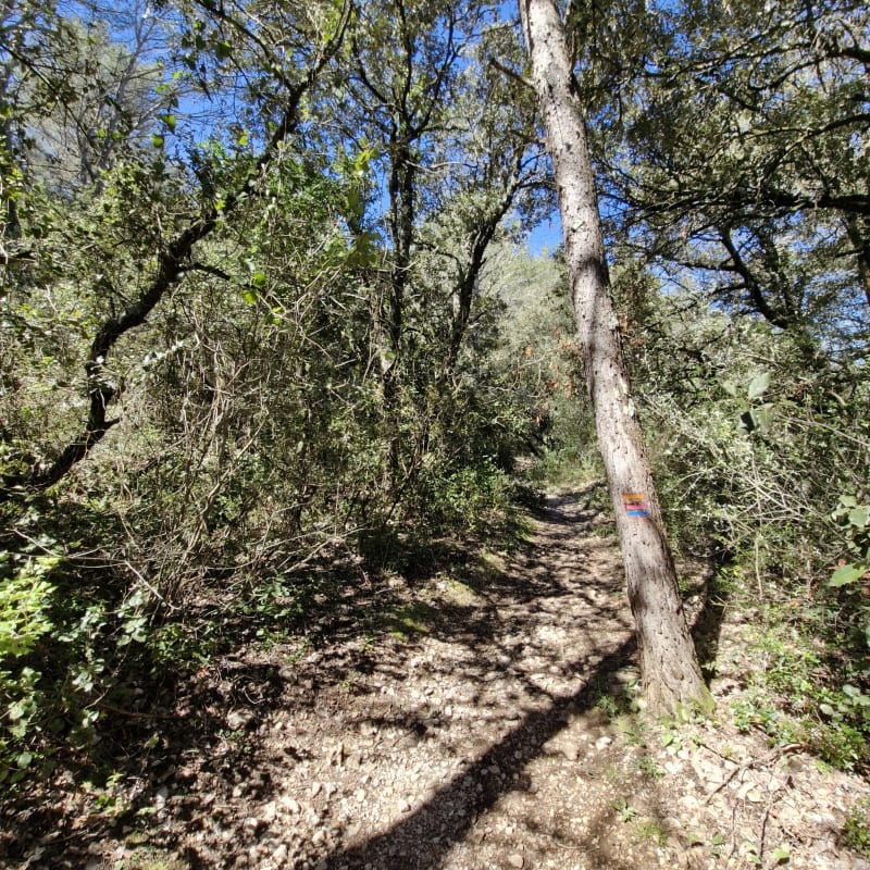 Randonnee VTT entre Signes et le Beausset - Le Beausset