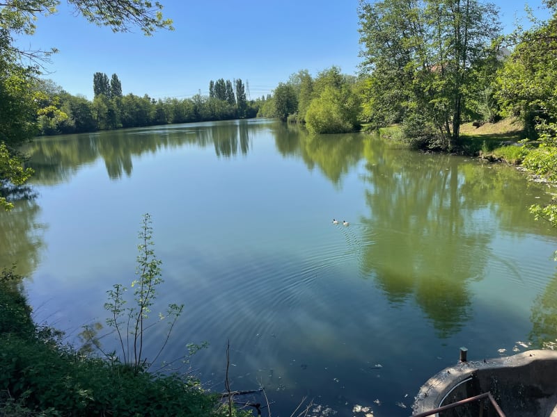 Balade au bassin du gué - Marcoussis
