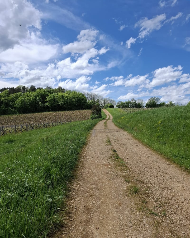 Source de la Periat - Sellières