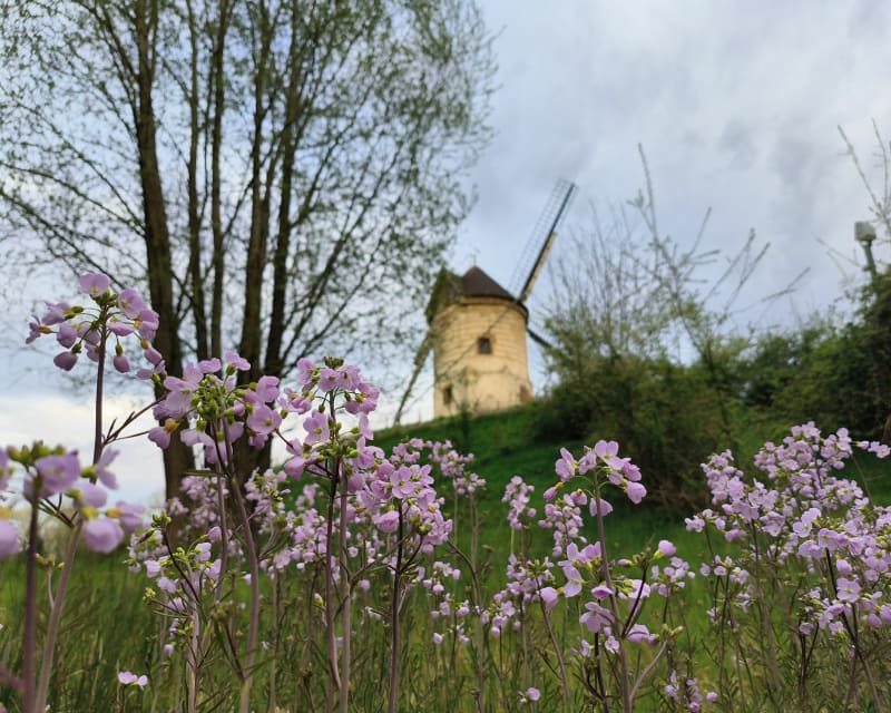 Promenade à Watten - Watten