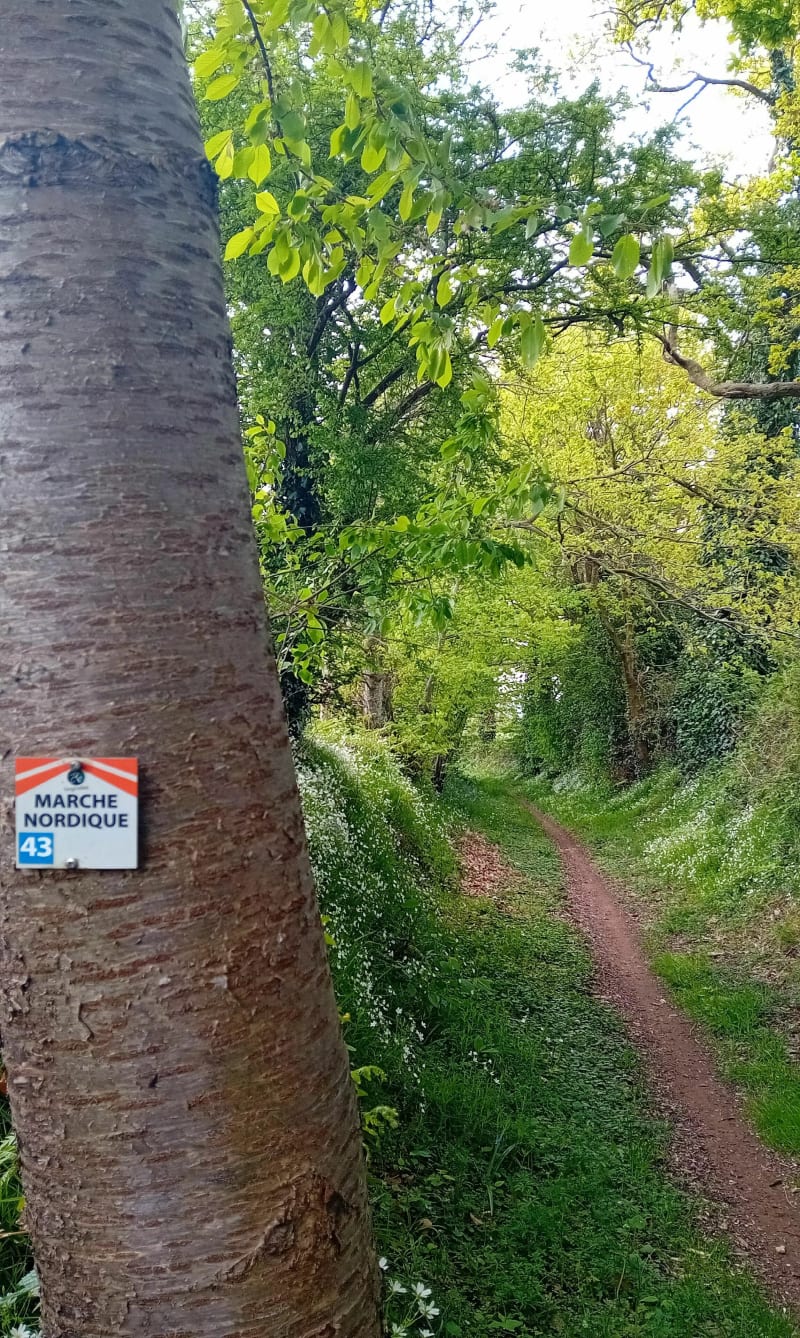 Station trail de Bagnoles-de-l'Orne - Rives d'Andaine