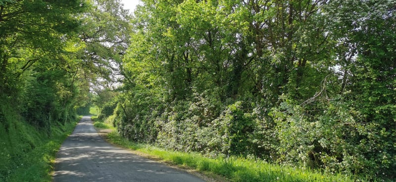 Forêt de Moulière, vallée de la Vienne et campagne vallonnée - Poitiers