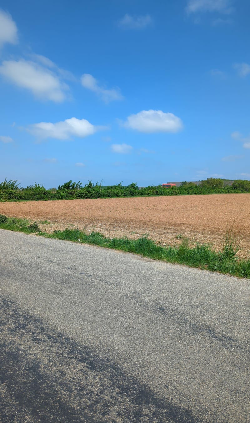 Promenade au bois des Franchises de Villette-d'Anthon - Villette-d'Anthon