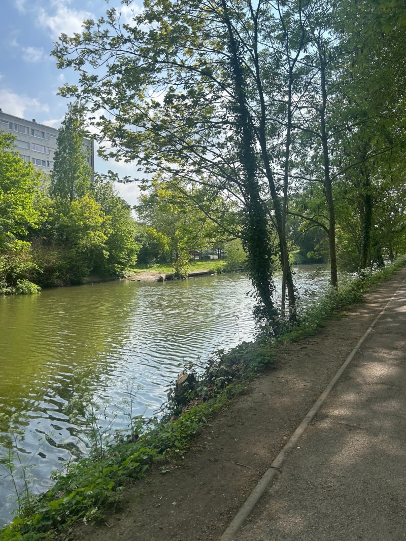 Course au creux de Lille et la Deûle - Lille