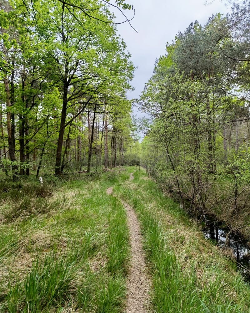 Parcours mixte Sénart de Montgeron - Montgeron