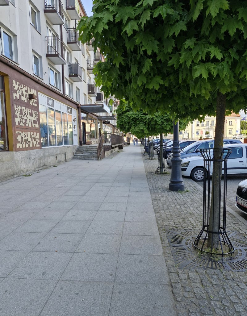 Z Nidzicy do Lasu Miejskiego - Nidzica