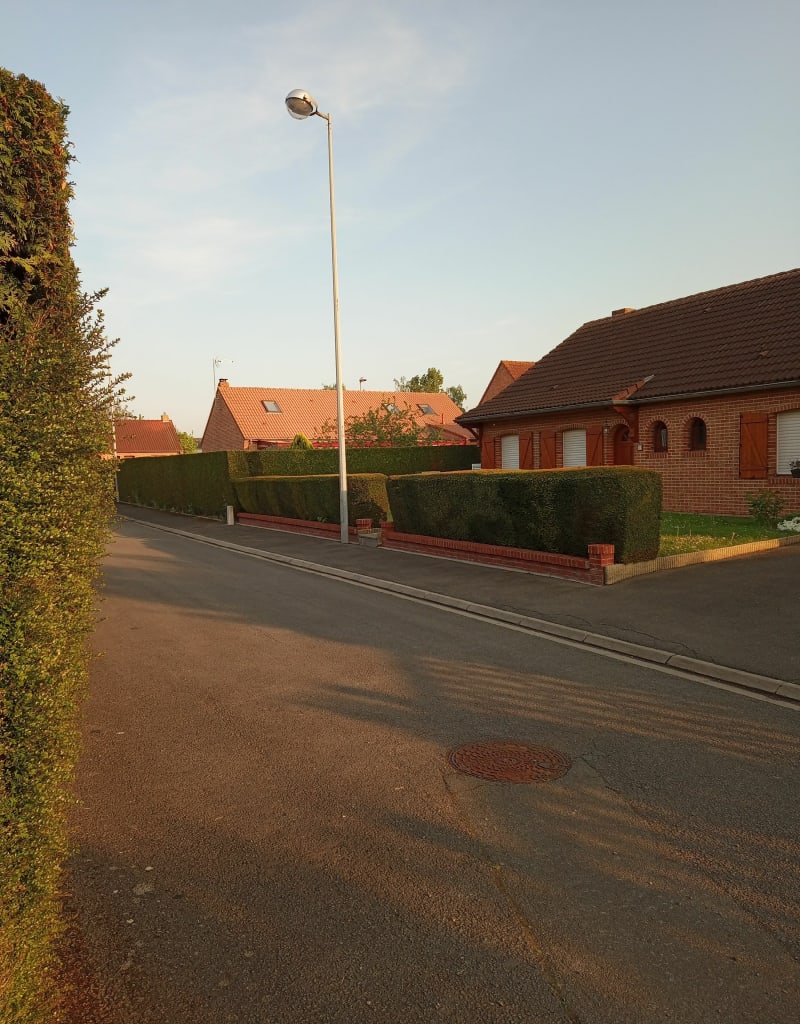 Balade dans les champs de Mazingarbe - Mazingarbe