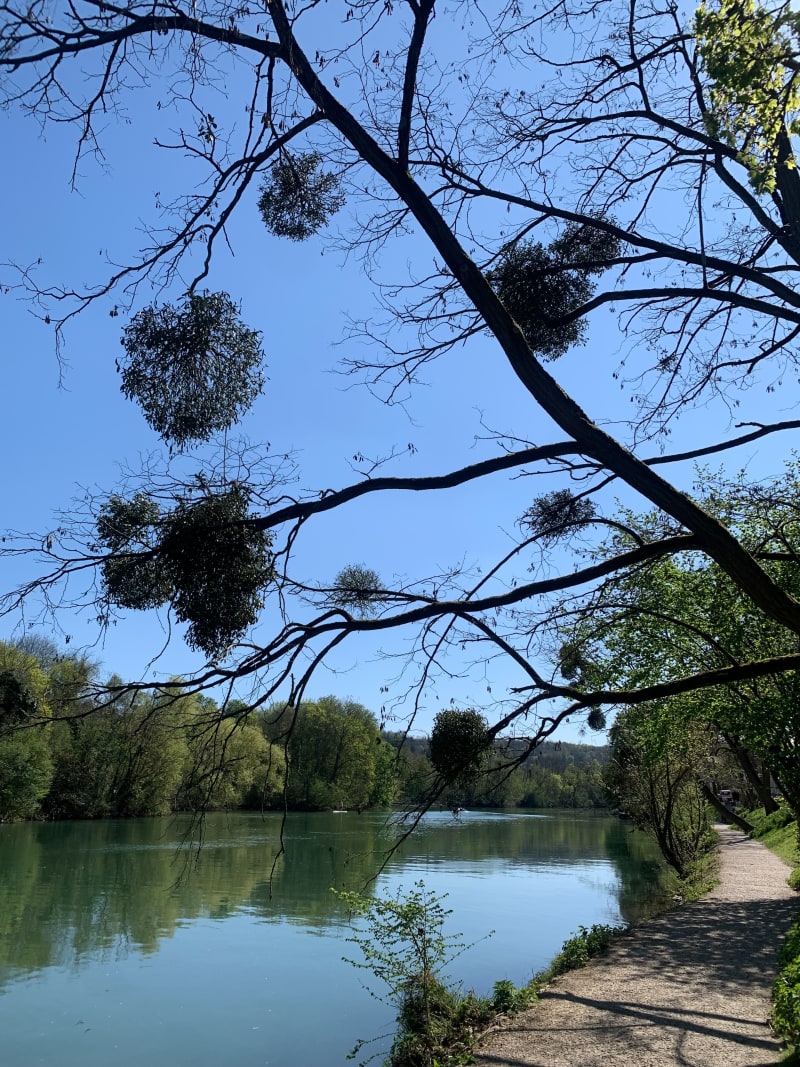 Petit balade de Adamville - Saint-Maur-des-Fossés