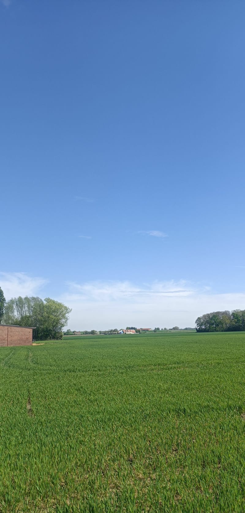 Op weg naar het vlakke land - Heuvelland