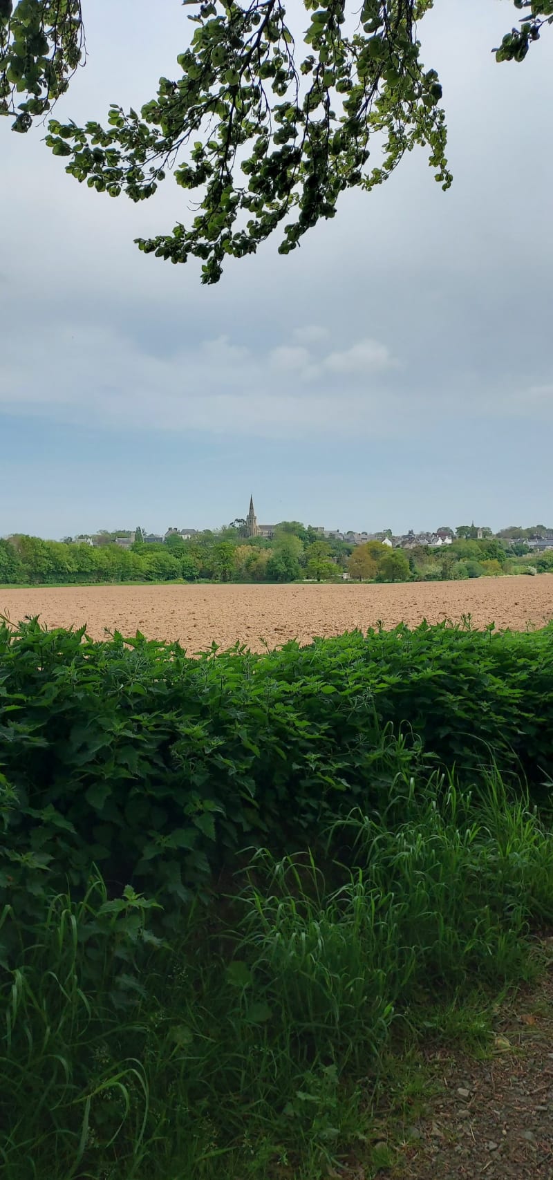 Boucle de Langoat et La Roche Derrien - Langoat