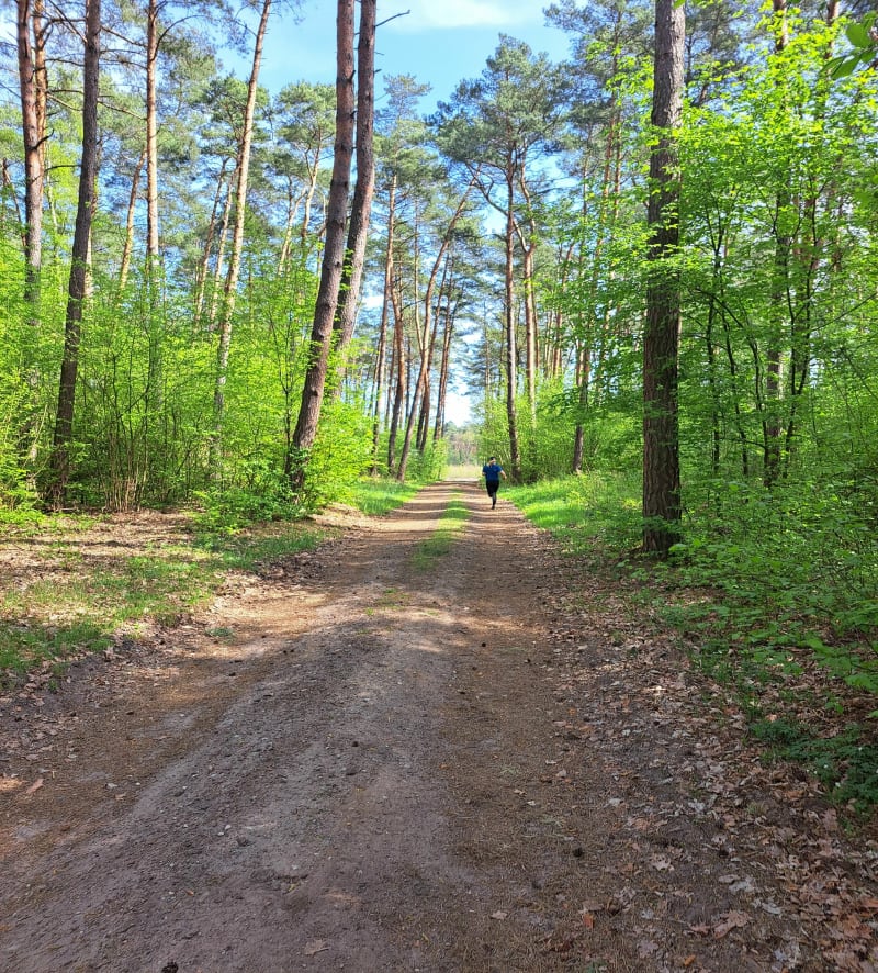 Majówkowa spacer - Ludwikowo